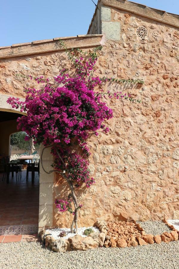 Casa Calendula Villa Llucmajor  Esterno foto